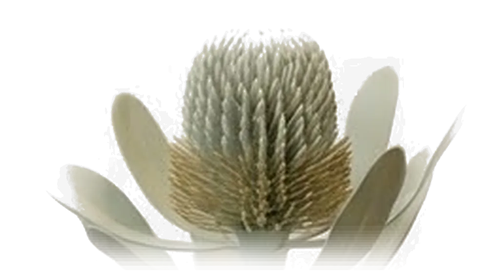 A soft clay thistle flower, pale green, standing upright.